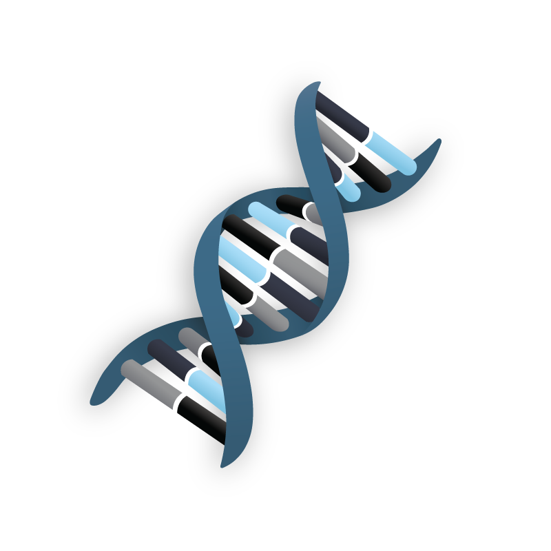 DNA Icon